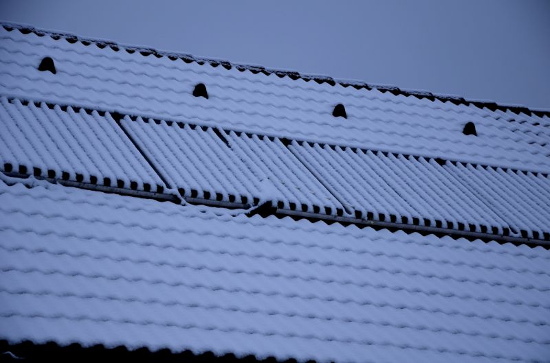 Winter Roof Assessment